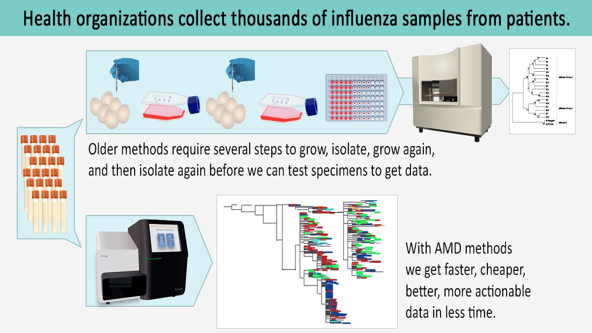 Diagram showing sample vials following two paths. Older methods require several steps before the samples can be sequenced to get simple data we can use. With AMD methods require fewer steps to provide more detailed data.