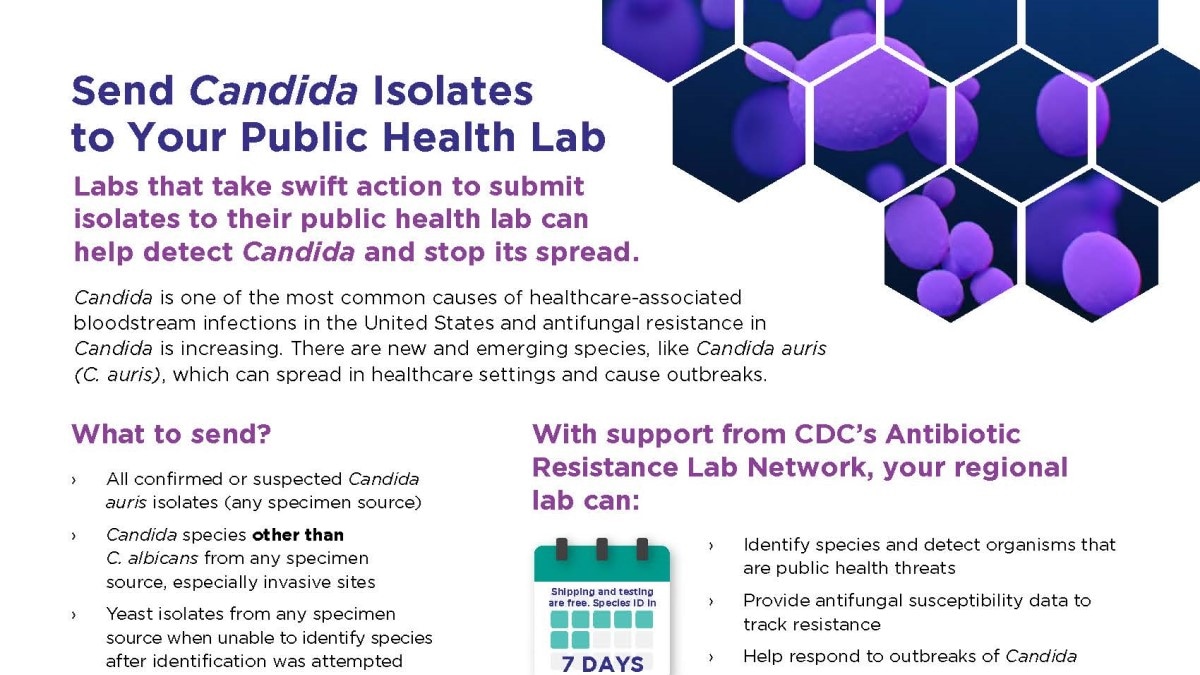 AR Lab Network Candida Isolates