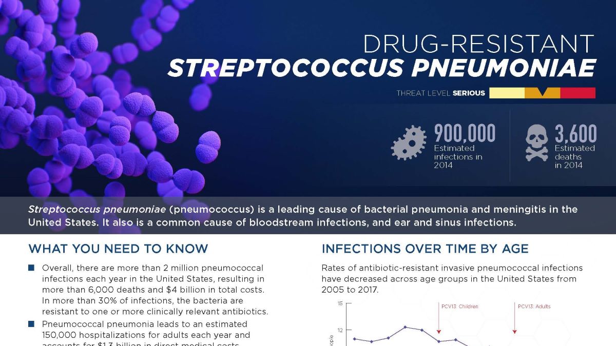 strep pneumoniae thumbnail