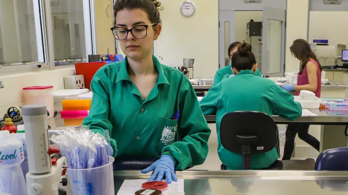 Laboratorians prepare strains to test for antimicrobial resistance.