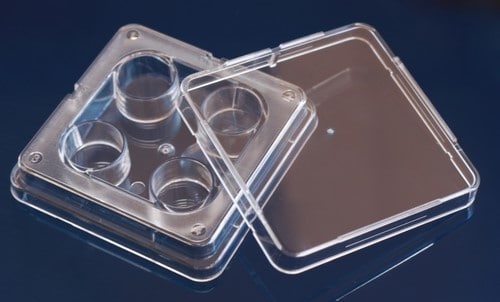 Square-shaped 4 well plate petri dish