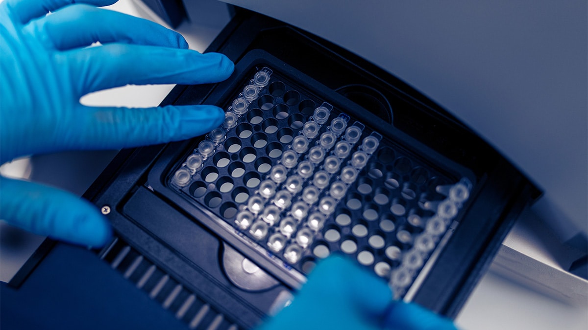 Laboratory worker putting test 96 well plate into real-time PCR machine