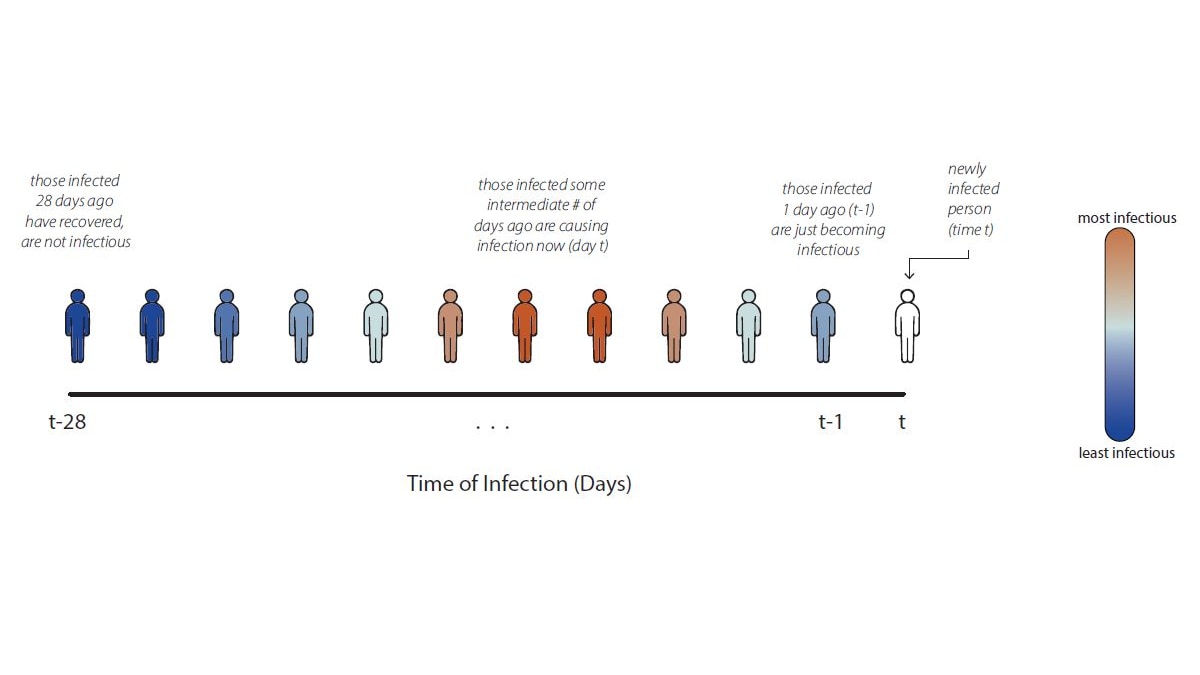 Chart showing infectivity over time