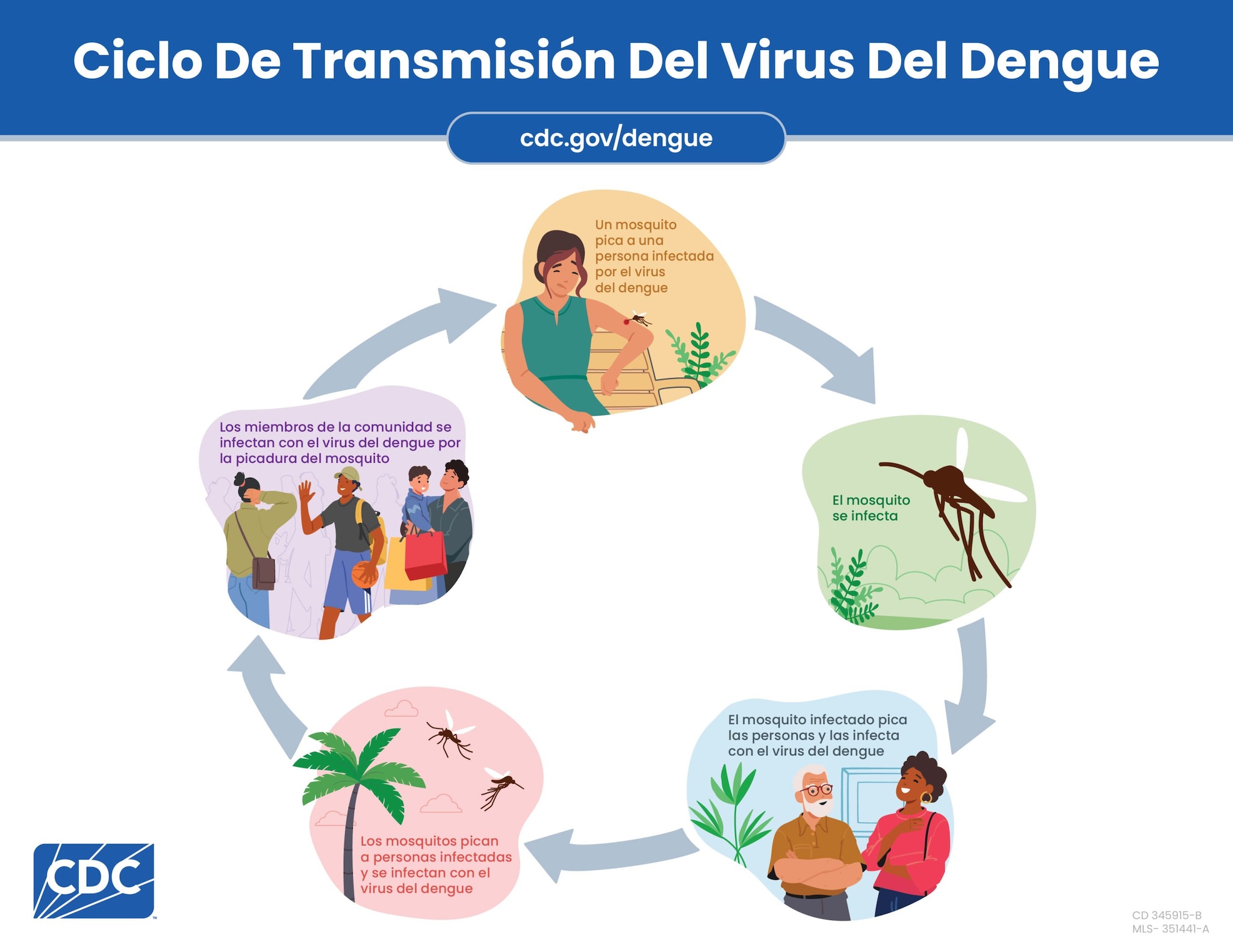 Gráfico que muestra cómo se transmite el dengue desde un individuo hasta una comunidad por picaduras de mosquitos.