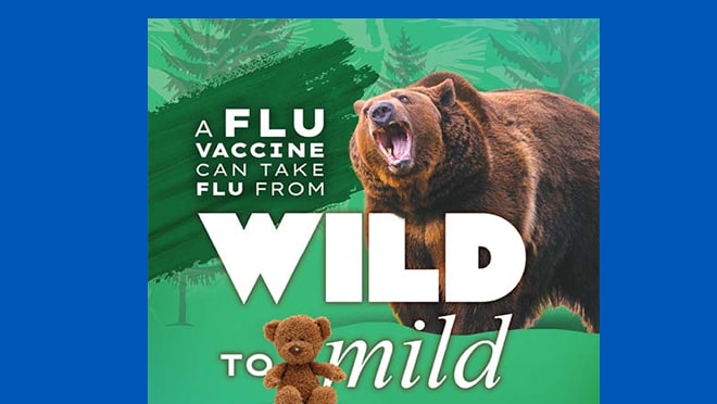 Wild to Mild Bear