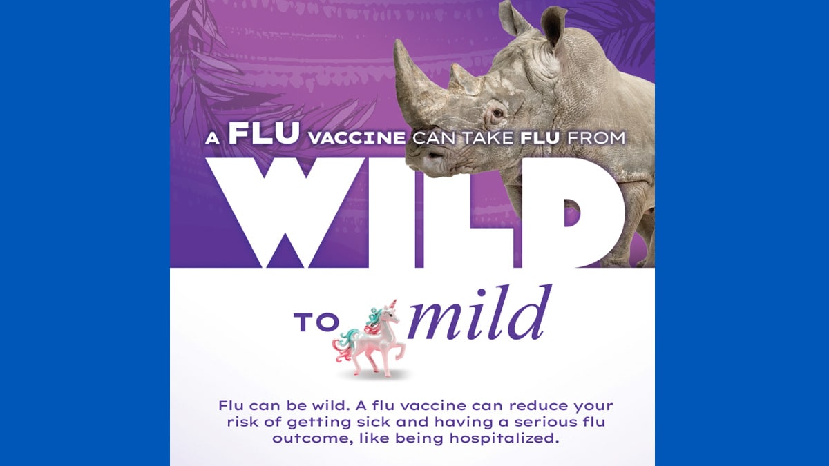 A flu vaccine can take flu from wild to mild. Flu can be wild. A flu vaccine can reduce your risk of getting sick and having a serious flu outcome, like being hospitalized. Talk to your doctor about a flu vaccine. #fightflu cdc logo