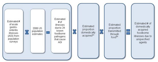 Figure 2 is a diagram, depicting an equation used to estimate foodborne illness due to unspecified agents for the year 2011. The equation is as follows: Estimated number of acute gastro-enteritis illnesses (AGI) from population surveys multiplied by 2006 US population estimates minus Estimated number of illnesses due to 24 known foodborne pathogens that cause AGI. The result of that is then multiplied by Estimated proportion domestically acquired multiplied by Estimated proportion transmitted through food which will result in Estimated number of domestically acquired foodborne illnesses due to unspecified agents.