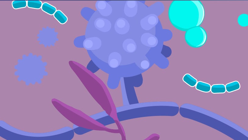 illustrations of types of infectious fungi