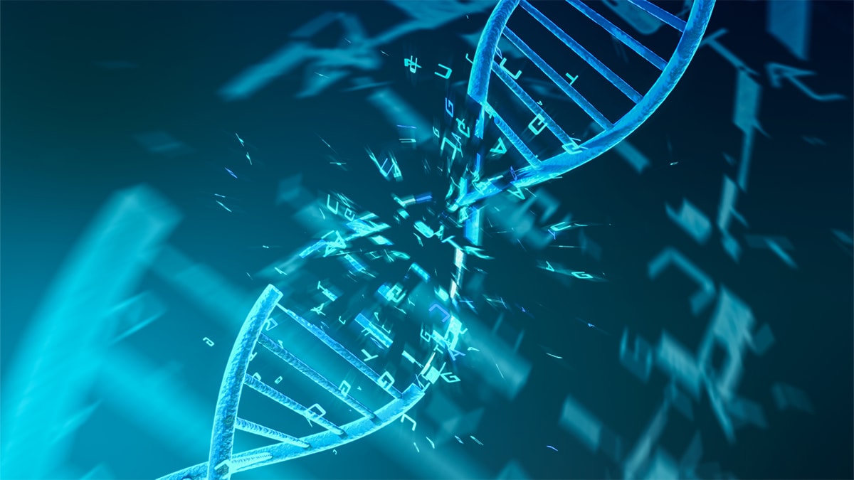 A broken DNA double helix, representing a genetic mutation