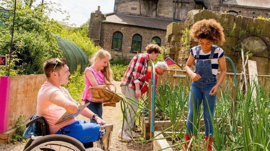 Group of people working on a garden