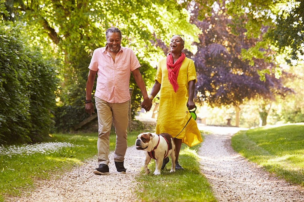 Older adult couple walking pet dog on a leash and holding hands.