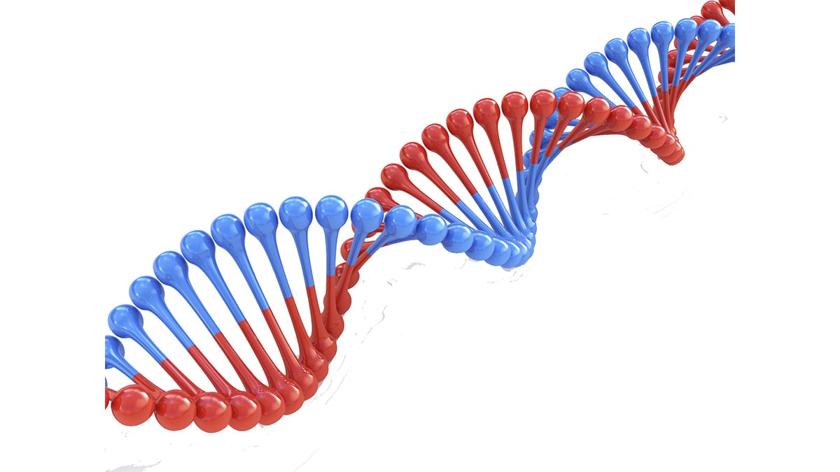 Illustration of a DNA double helix