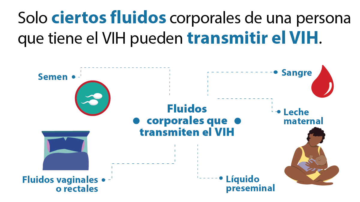 Imagen de  fluidos corporales que transmiten el VIH.