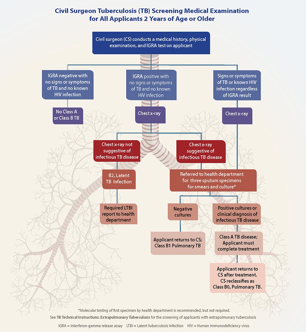 Civil Surgeon Tuberculosis (TB) Screening Medical Examination for All Applicants 2 Years of Age or Older