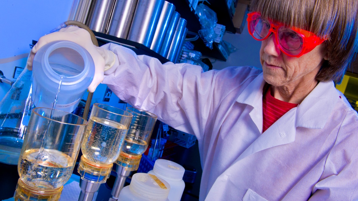 Laboratory scientist filtering samples.