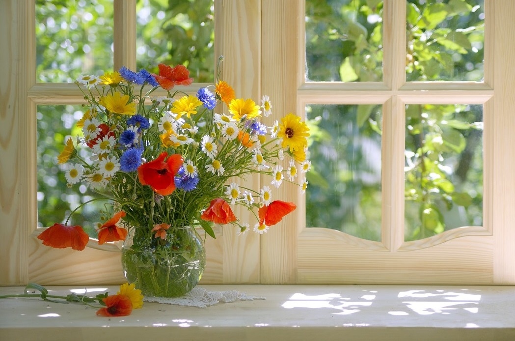 Bouquet of flowers on sunny day