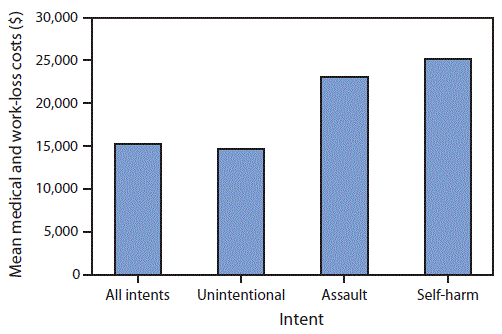 The figure above is a bar chart showing the mean medical and work-loss costs per case of emergency department-treated nonfatal injury, by intent, in the United States during 2013.