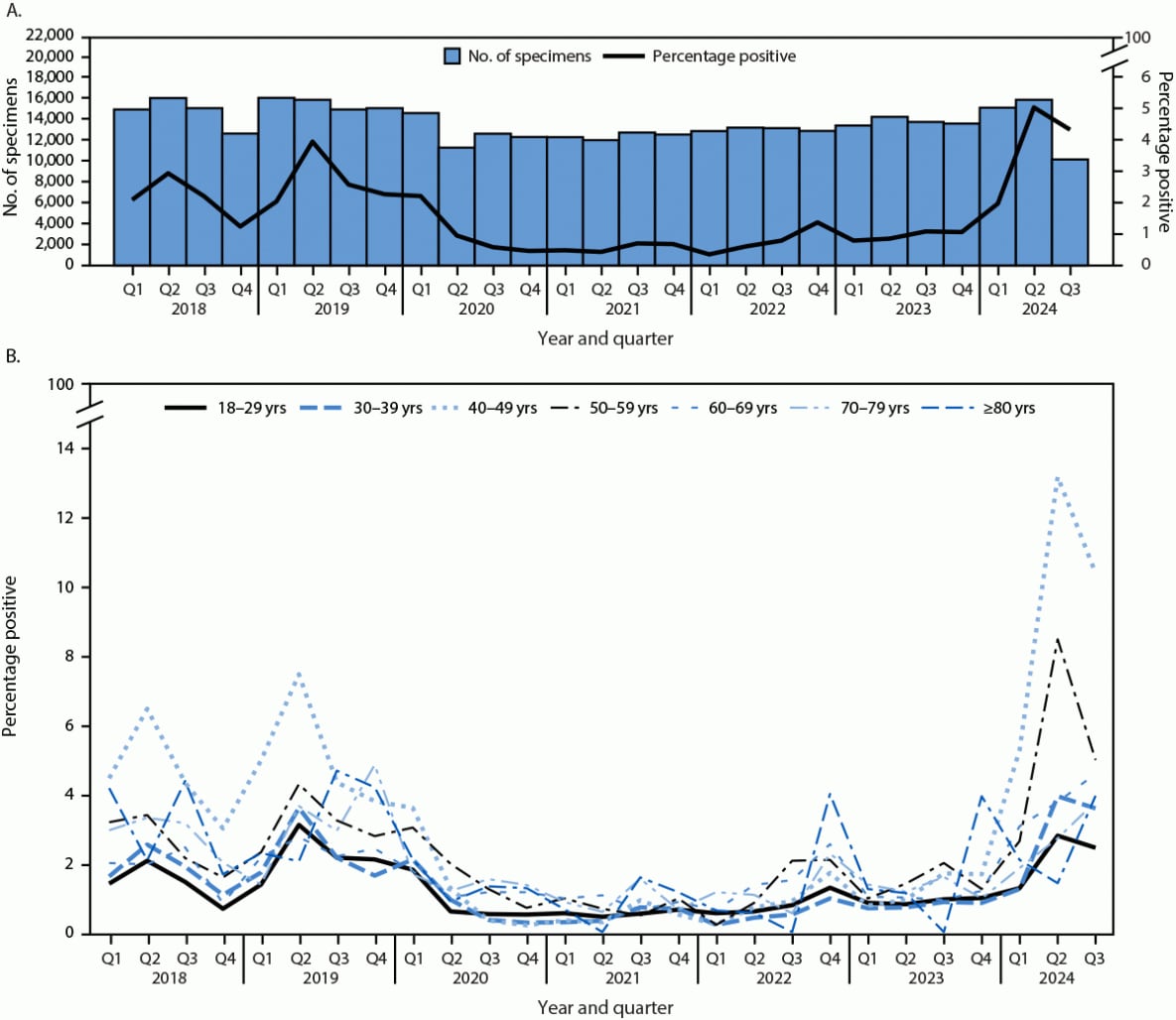 The figure is a histogram illustrating the number of clinical human parvovirus B19 specimens tested for immunoglobulin M and a line graph illustrating the percentage of positive test results among children and adolescents aged <18 years, by quarter, and the percentage of positive test results, by age group and quarter in the United States during 2018–2024.