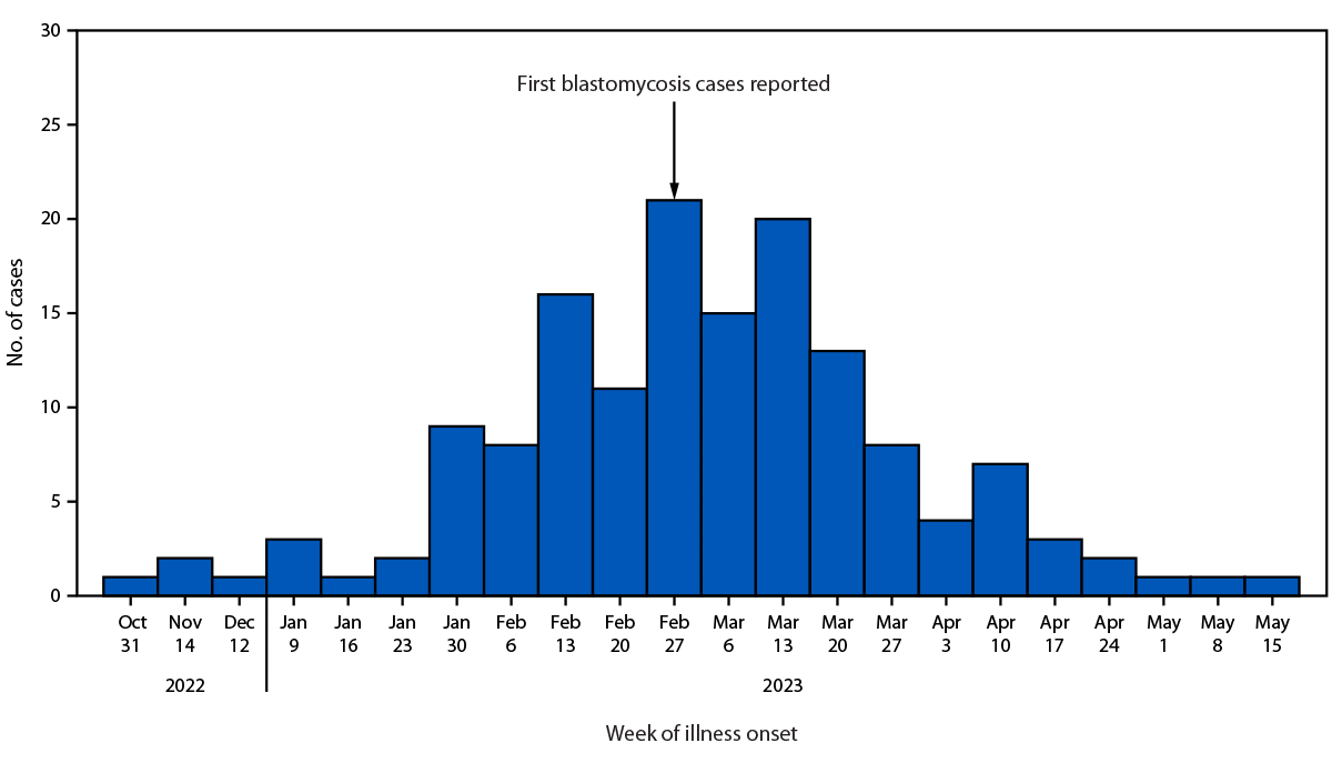 Figure is a histogram depicting blastomycosis cases, by week of illness onset, among 162 workers at a paper mill in Michigan, during November 1, 2022–May 15, 2023.