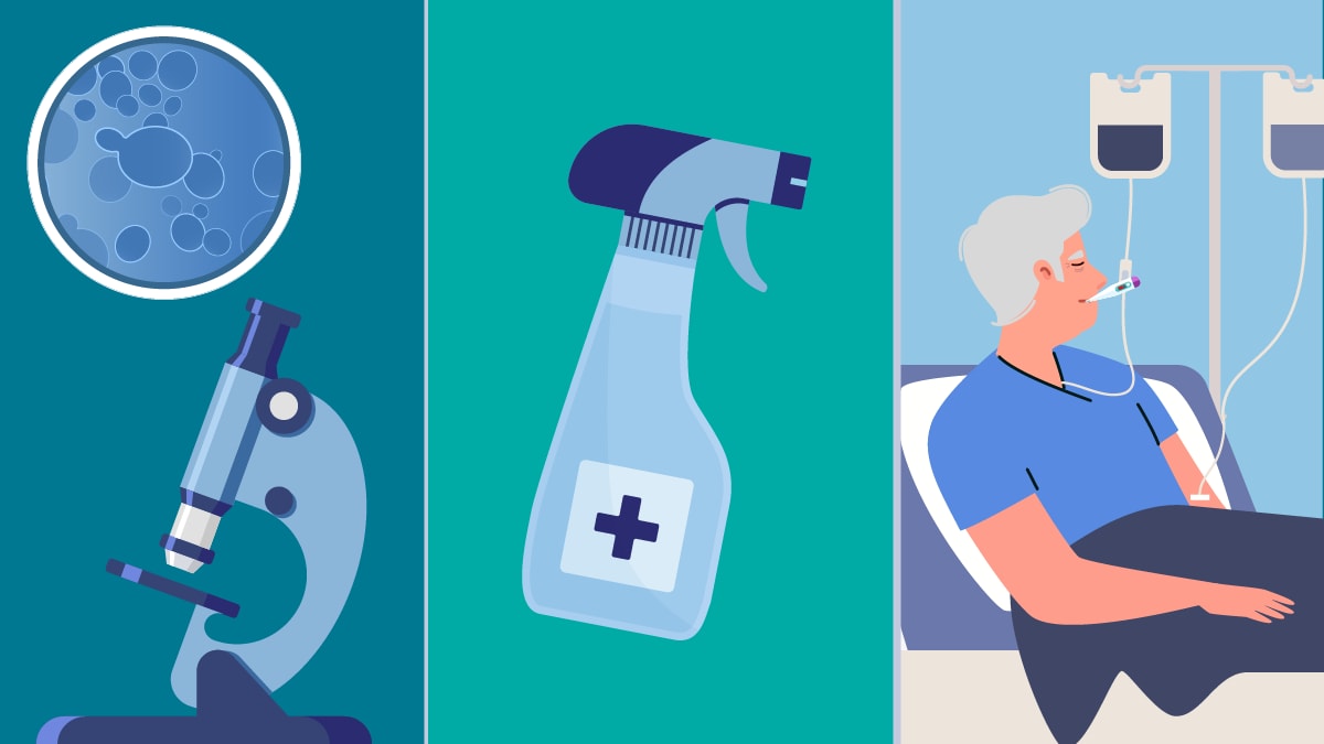 Three pane graphic; first image is of a microscope and shows a zoomed in view of fungal spores above it, The second image is a cleaning product. The third image is a patients on IVs in the hospital