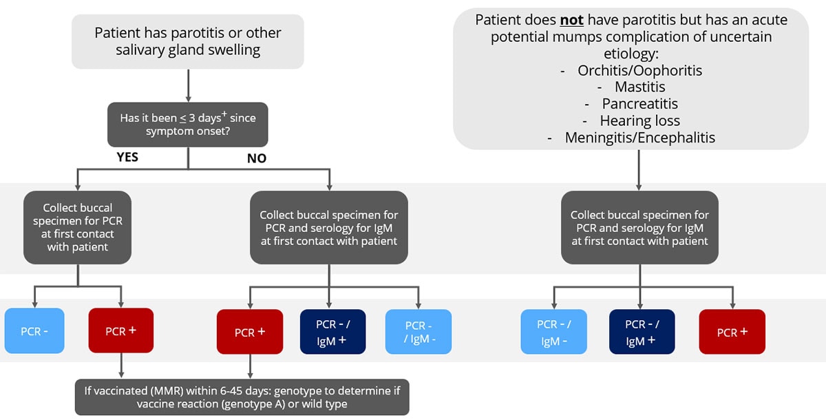 Sporadic (no epidemiologic-link, not outbreak-related) mumps testing flowchart.