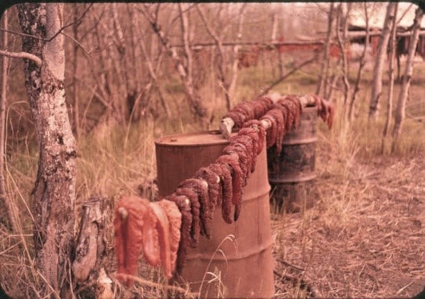 Fish drying in Kwethluk, Alaska. The population of Kwethluck in 2019 was 769.