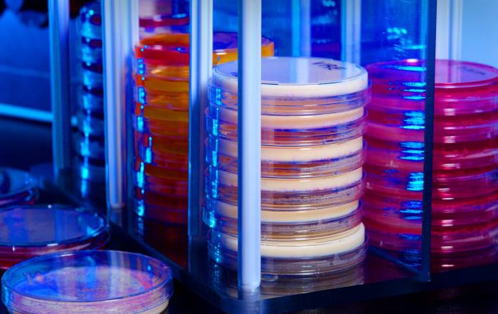 Stacked Petri dish culture plates with various types of growth media.