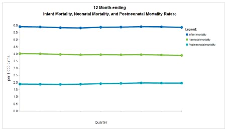 Screenshot, Infant Mortality Dashboard