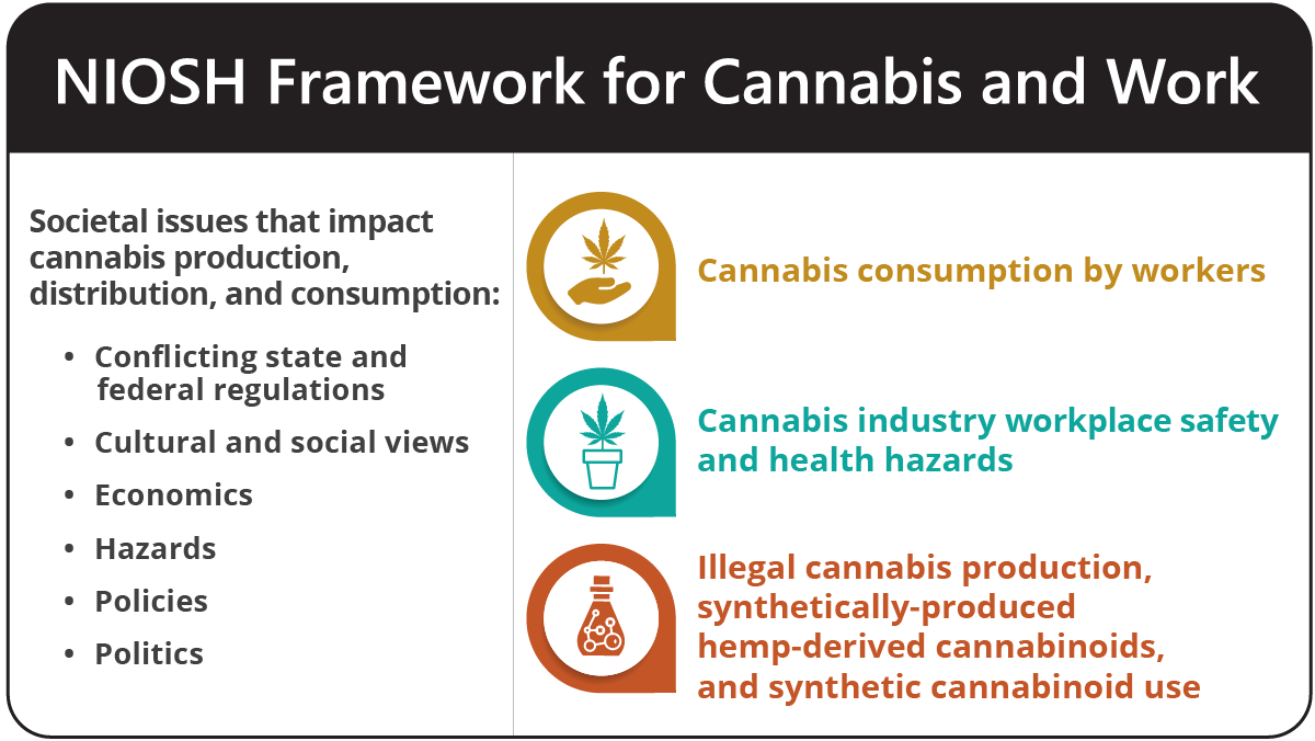 Infographic listing societal issues that impact cannabis production and use, and the related workplace areas of concern.