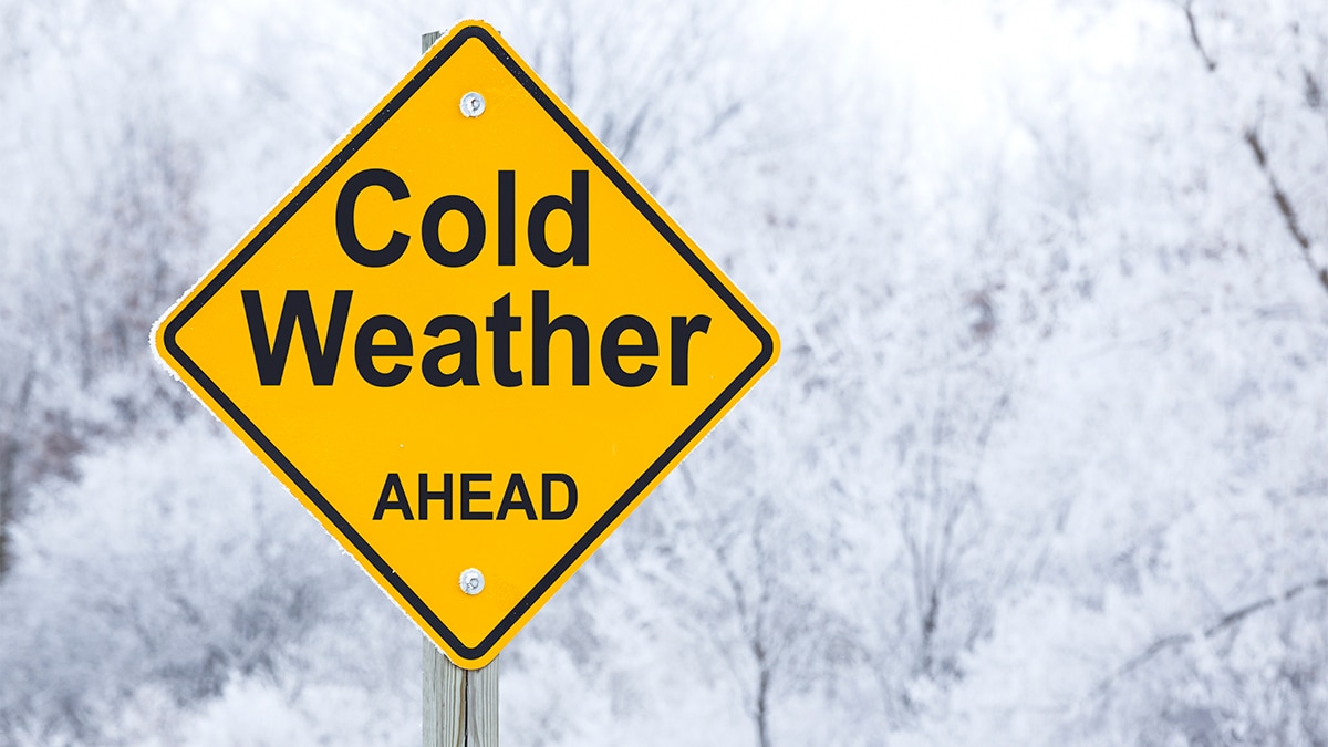 Diamond shape, bright yellow hazard road sign that says Cold Weather Ahead” in bold black lettering. Snowy image behind the sign.