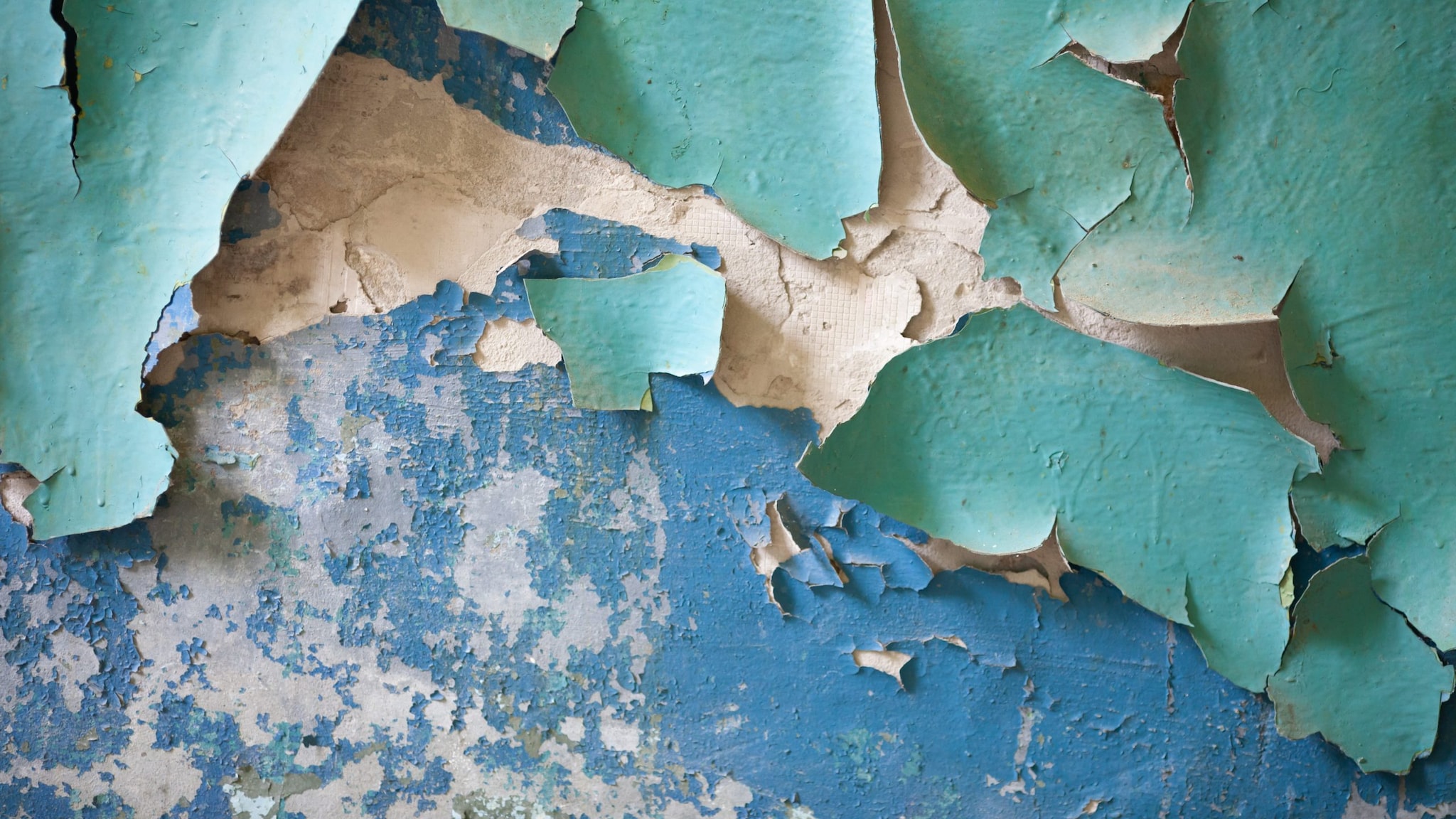 Paint peeling off a wall.