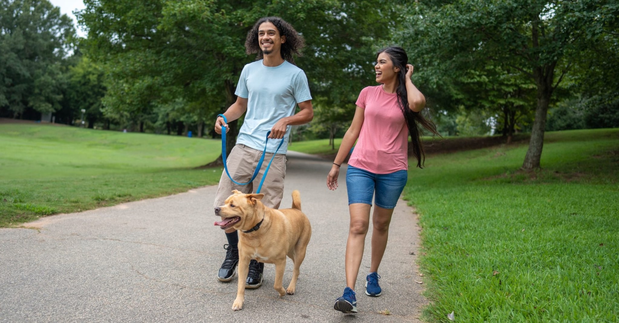 Man and woman walking a dog outside.