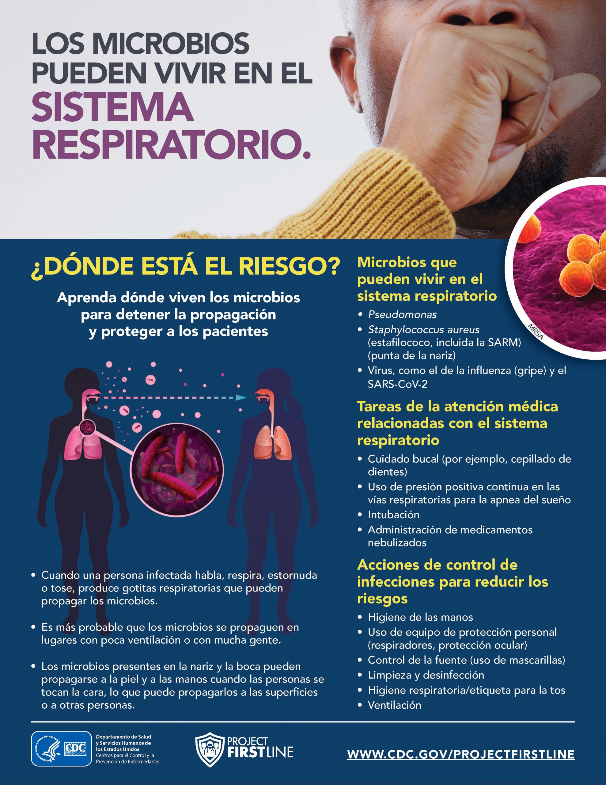 Los microbios pueden vivir en el sistema respiratorio