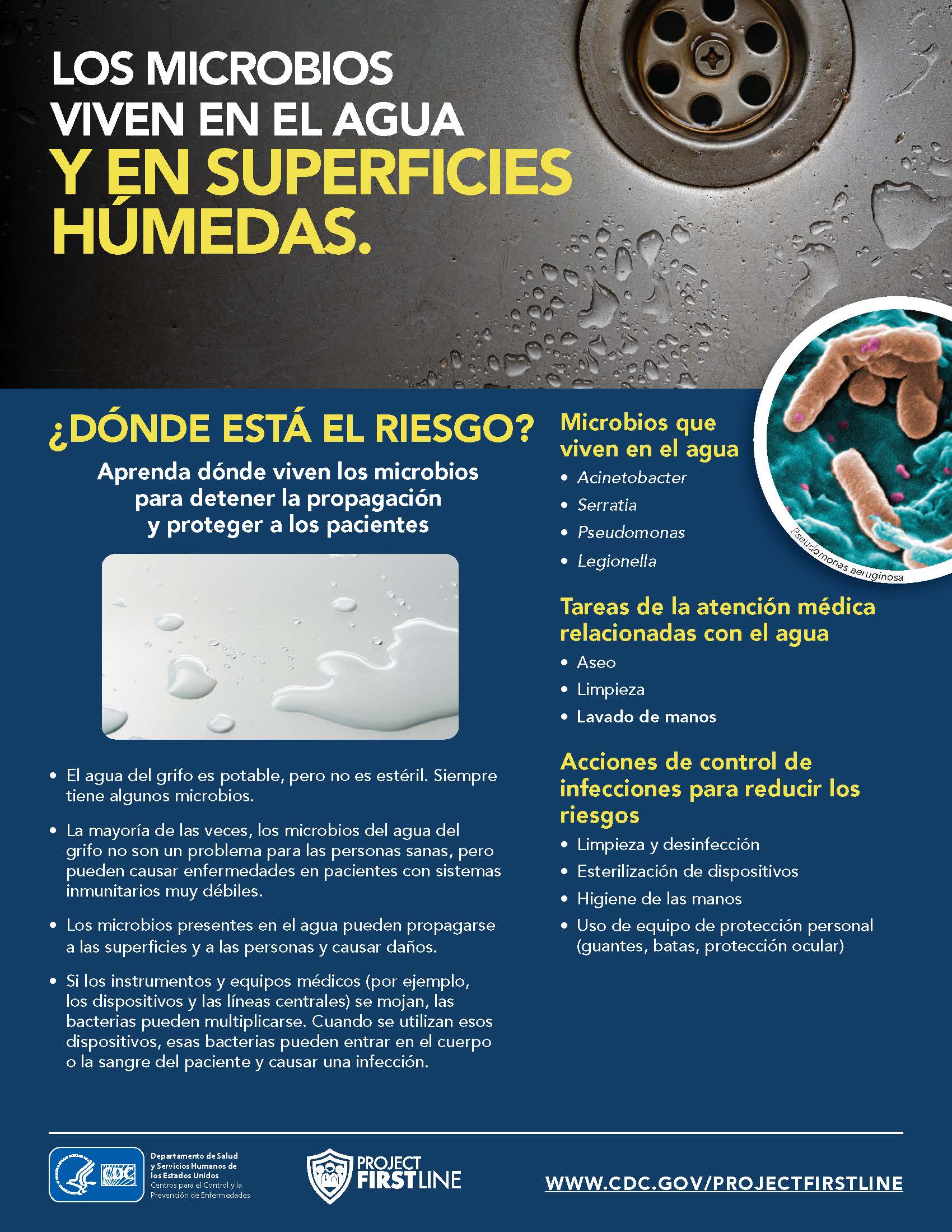 Los microbios viven en el agua y superficies humedas