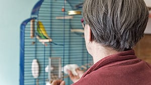 A man cleans a bird cage