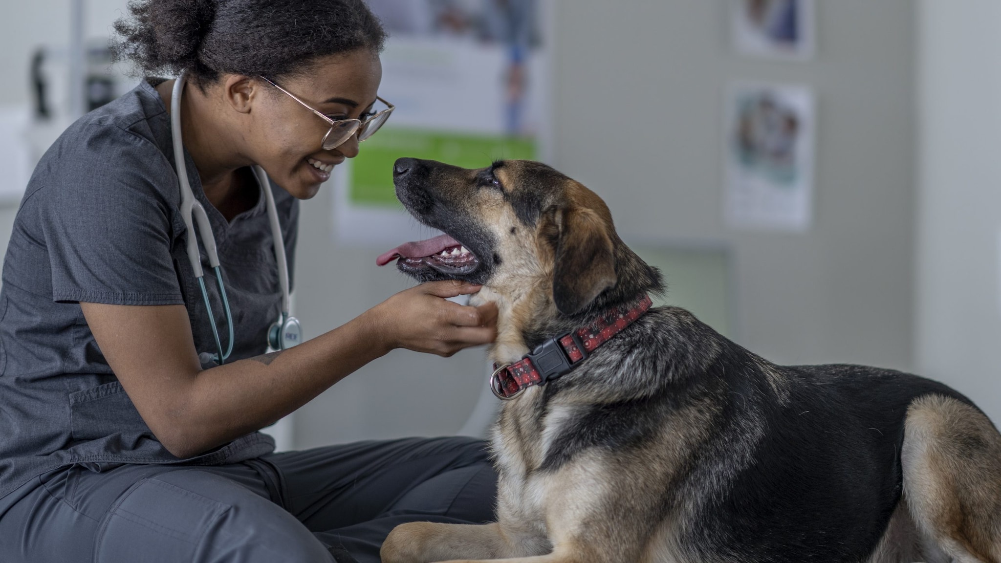 Smiling medical personnel touching under the chin of a brown and black dog.