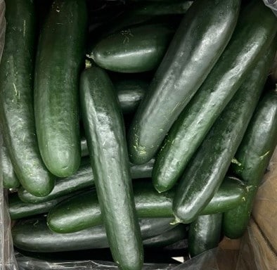 whole fresh American cucumbers