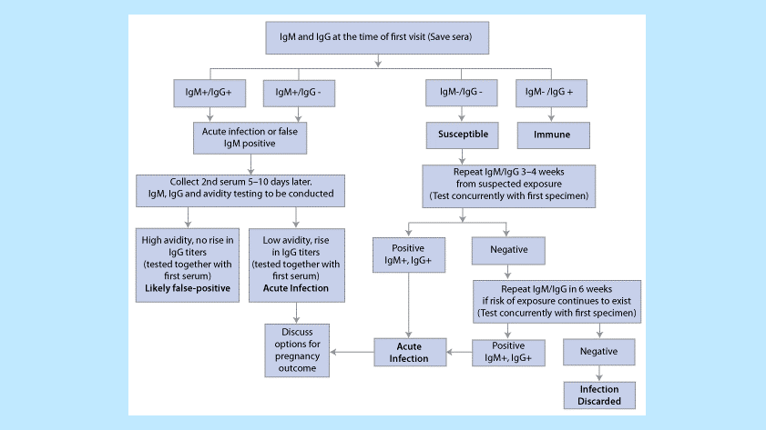 Figure 2. Algorithm for serologic evaluation of pregnant women exposed to rubella