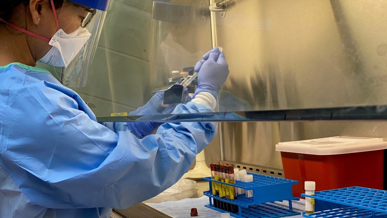 Scientist wearing personal protective equipment while working in a public health laboratory.