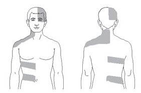 Line drawing of a male figure shown from the front and back, highlighting horizontal bands on the torso and back.